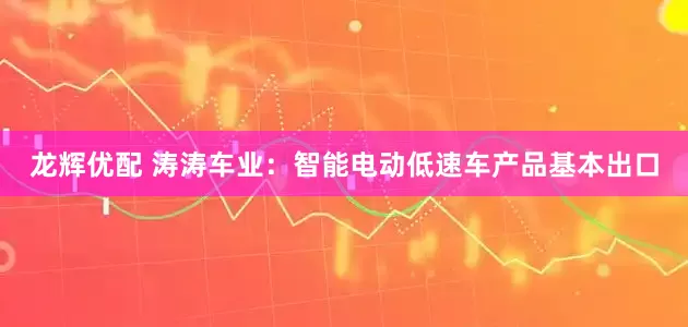 龙辉优配 涛涛车业：智能电动低速车产品基本出口